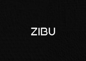 Logo Design by nicolca37 for ZIBU | Design #21315600