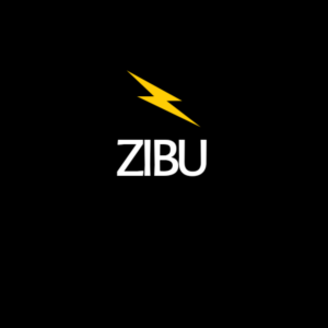Logo Design by nicolca37 for ZIBU | Design: #21337993