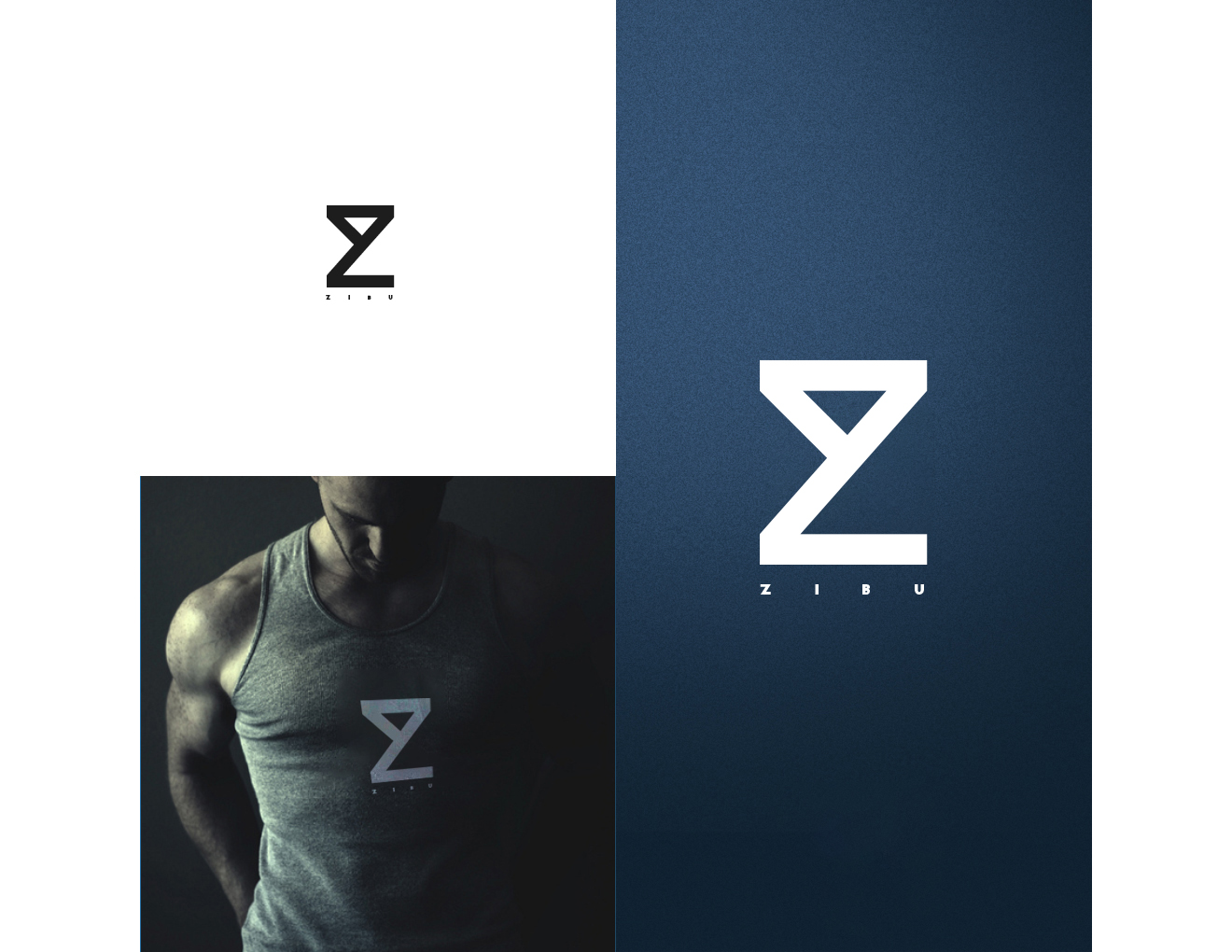 Logo-Design von Roman Designs für ZIBU | Design #21325907