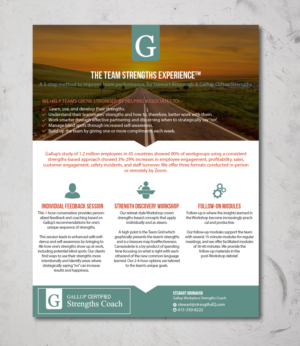 Diseño de Flyer por alex989 para este proyecto | Diseño: #21382653