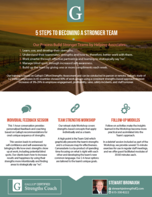 Flyer for a Business Consultant  | Design de Flyer par alex989