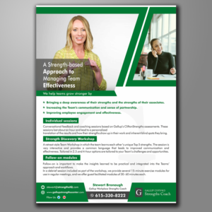 Flyer for a Business Consultant  | Design de Flyer par ecorokerz