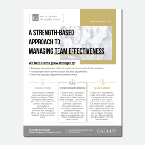 Flyer for a Business Consultant  | Flyer Design by coo.lt