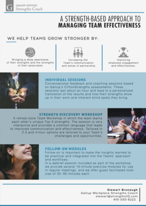 Flyer for a Business Consultant  | Flyer Design by Val brito