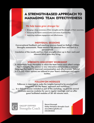 Flyer for a Business Consultant  | Design de Flyer par Viraj Perera