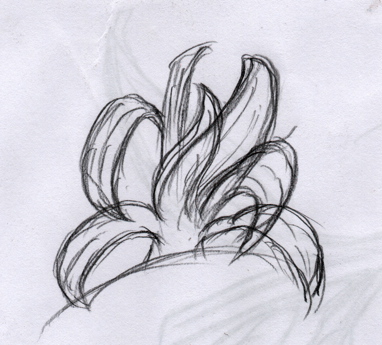 Logo Design by Nur S for this project | Design #21298963