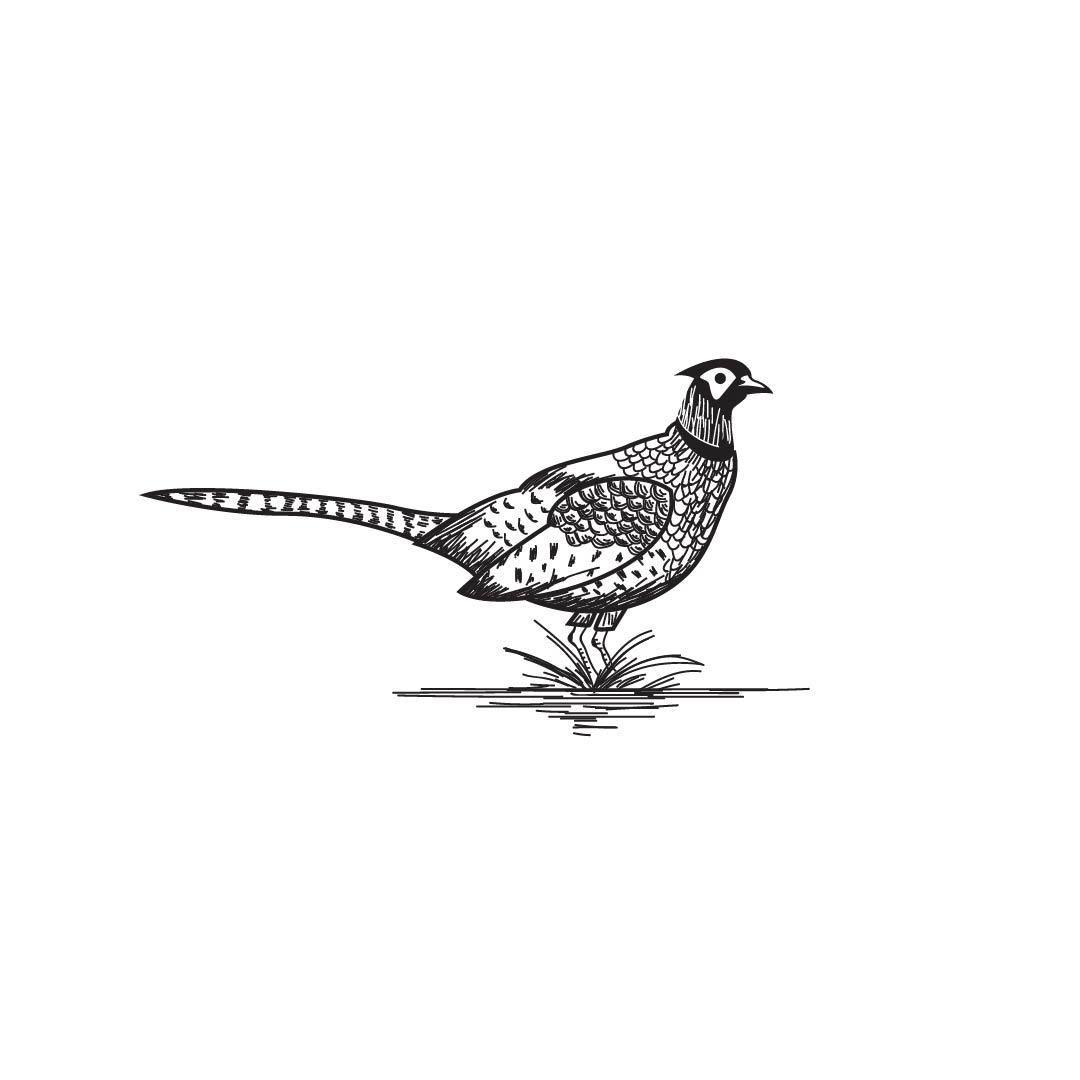 Logo-Design von aspiremedia für dieses Projekt | Design #21311261