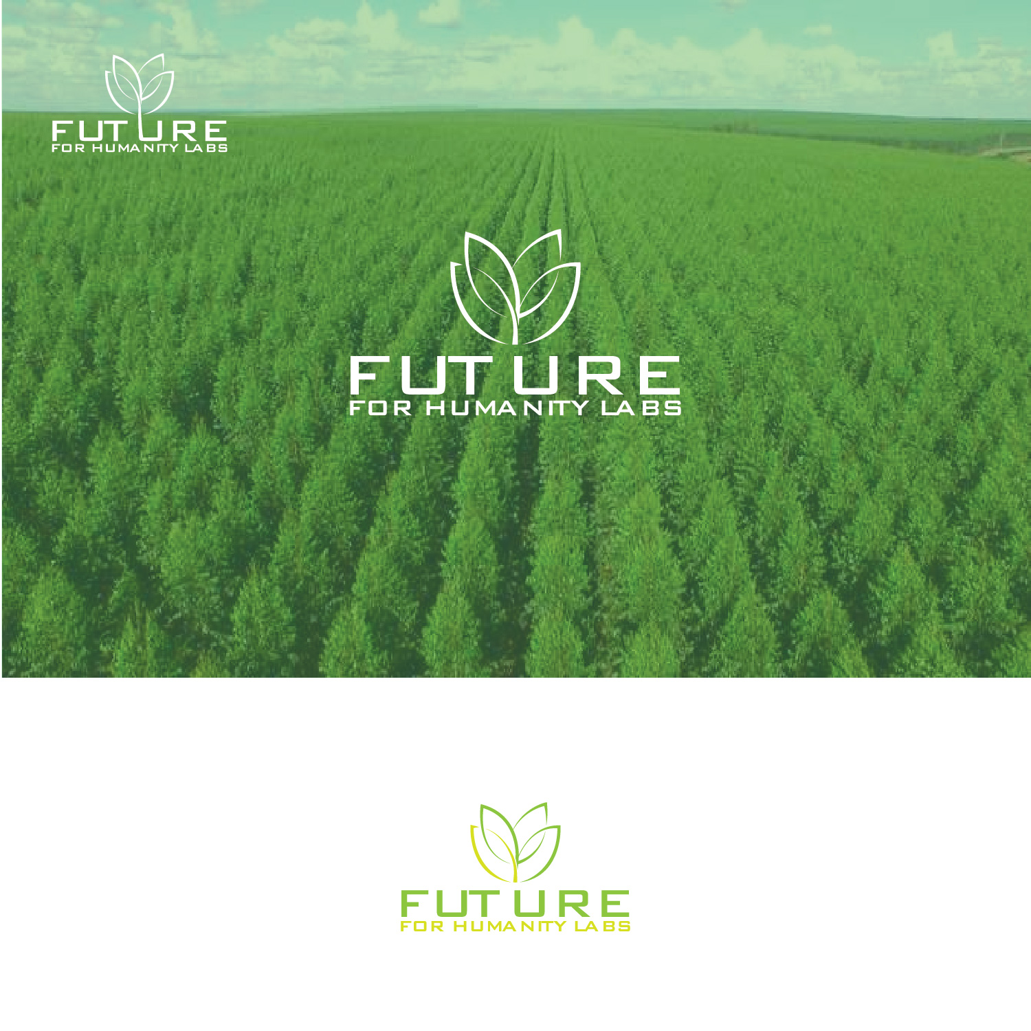 Logo Design by Maxo-Biz for this project | Design #21318580
