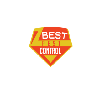 Logo Design by titanium wings