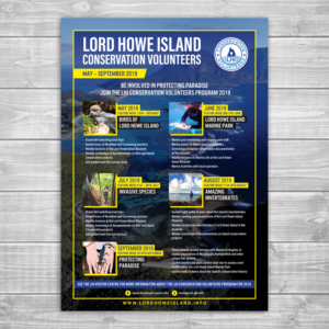 Flyer/Poster design required for volunteer activities | Flyer-Design von laxman2creative