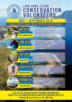 Flyer/Poster design required for volunteer activities | Flyer-Design von Kelalo