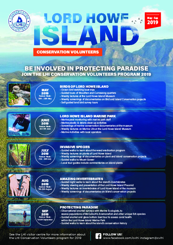 Flyer Design by Randy for this project | Design #21331513
