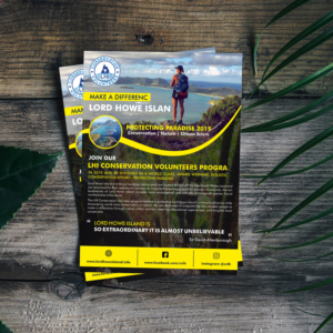 Flyer/Poster design required for volunteer activities | Flyer-Design von ecorokerz