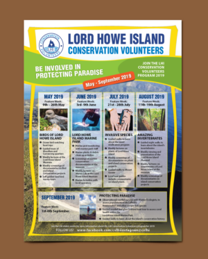 Flyer/Poster design required for volunteer activities | Flyer-Design von meet007