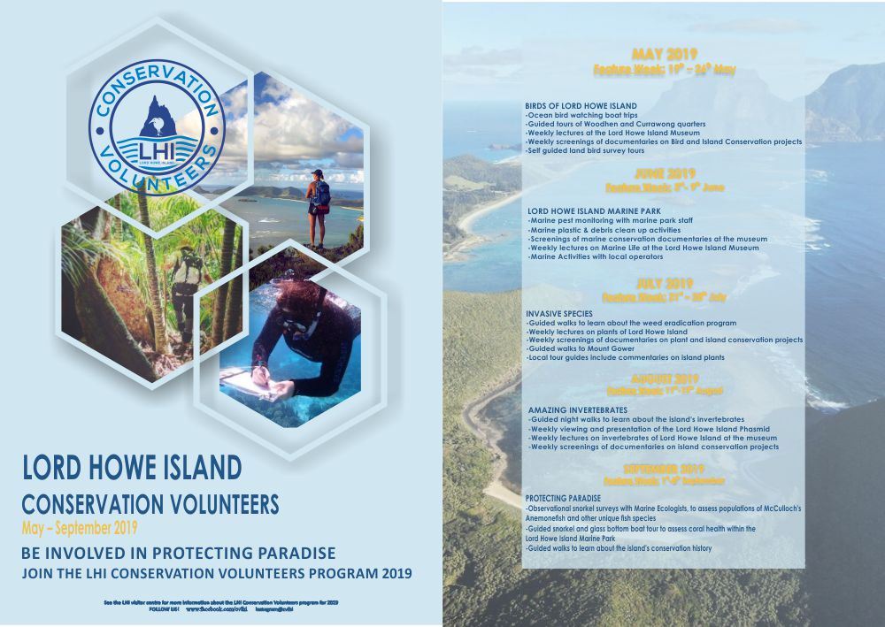 Flyer Design by Anush 5 for this project | Design #21312293