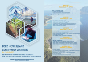 Flyer Design by Anush 5