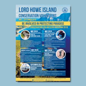 Flyer/Poster design required for volunteer activities | Flyer-Design von AnaMSantos