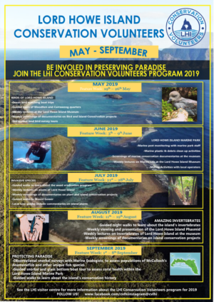 Flyer Design by skillfiggo