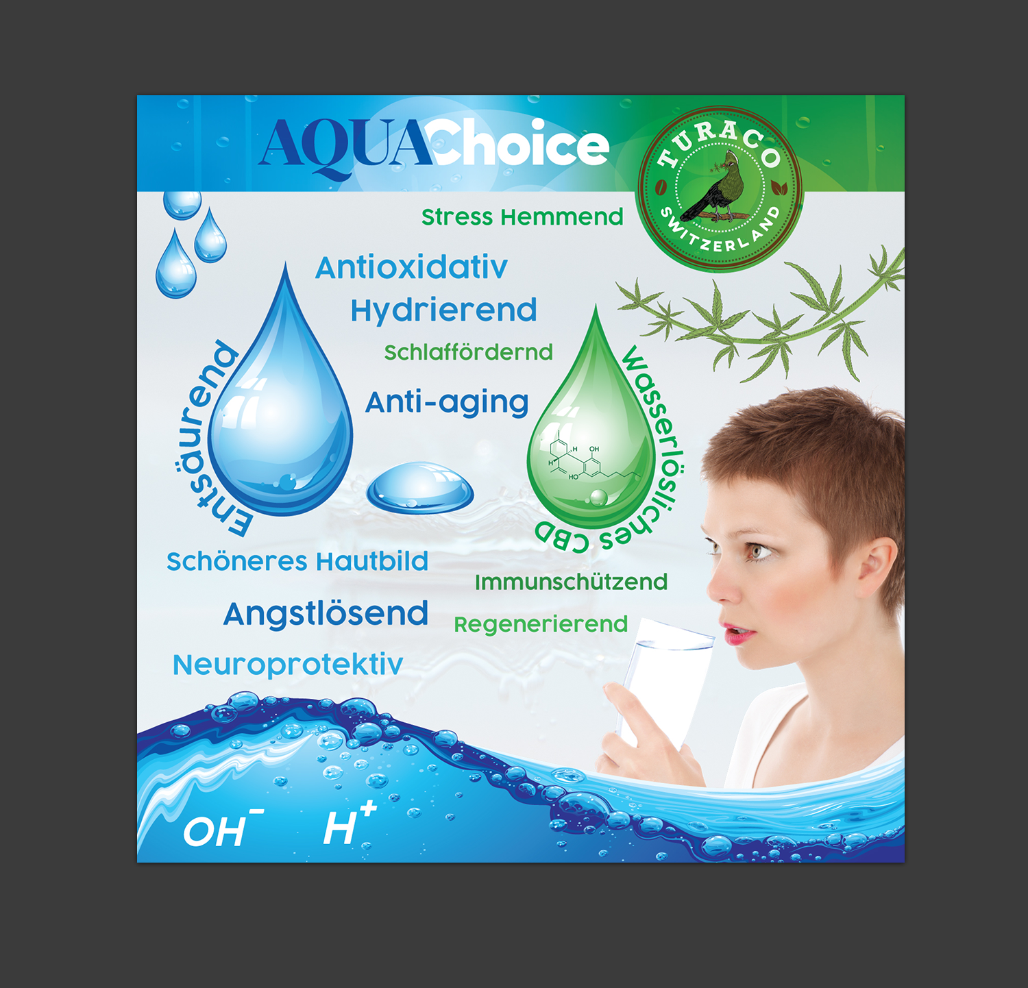 Graphic Design by Rickyy for pressogno  ag | Design #21365484