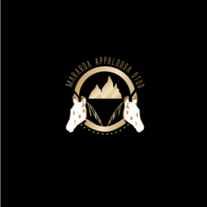 Logo Design by titanium wings