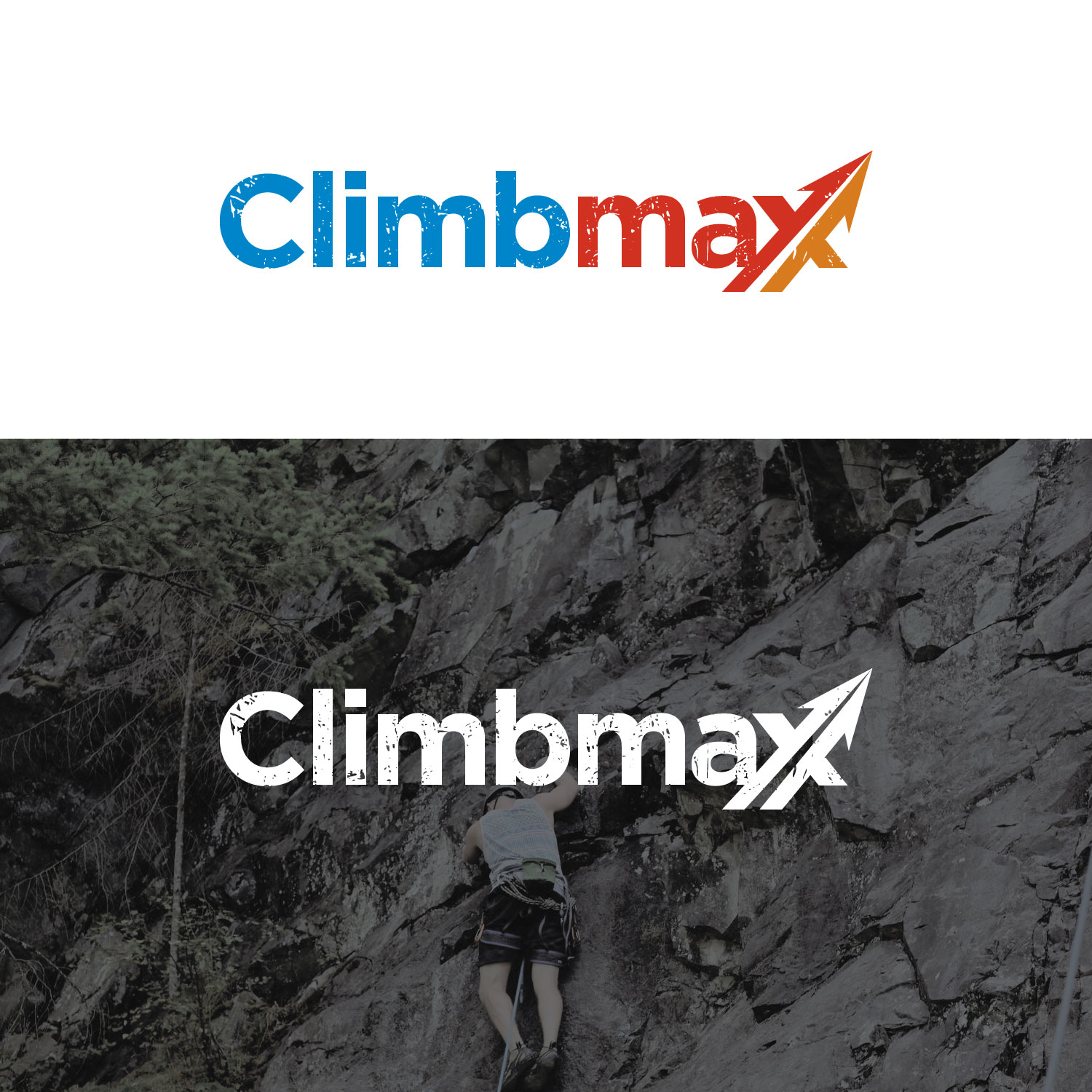 Logo Design by concepts for this project | Design #21371126