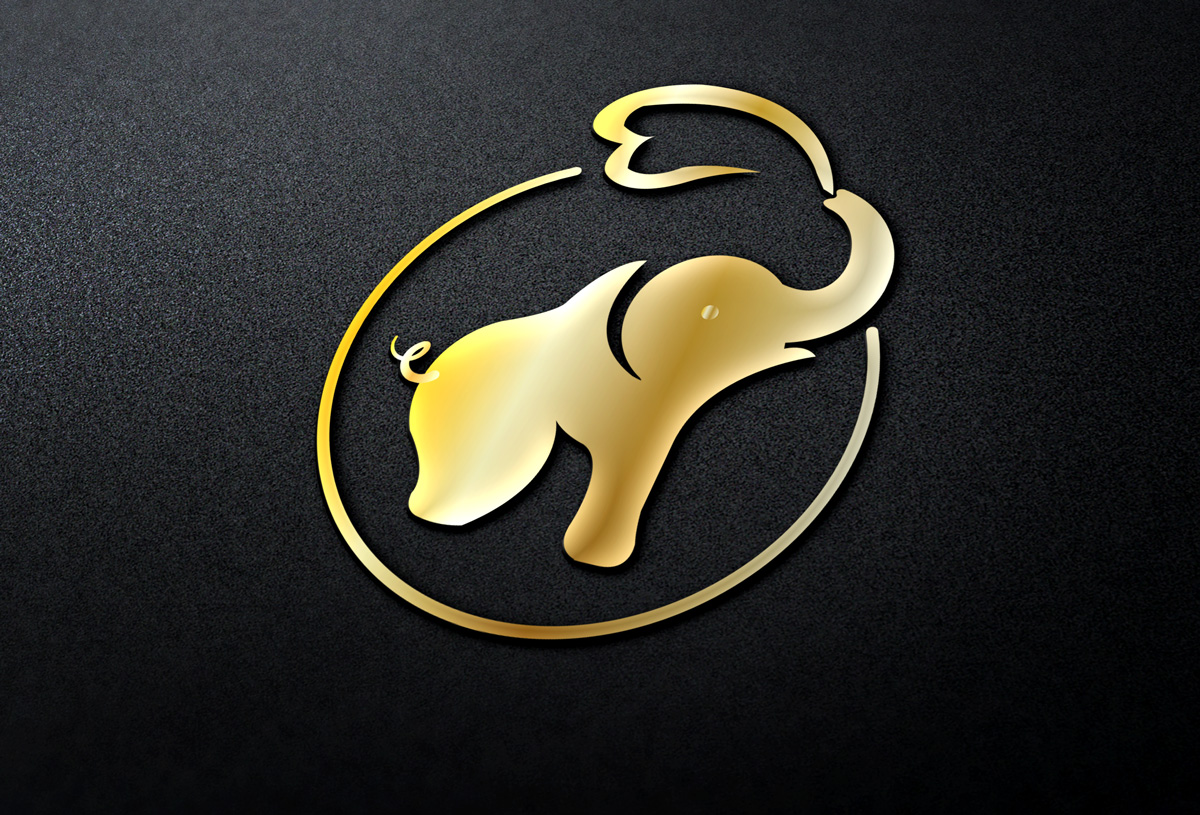 Logo Design by Wonderful design for Tuuli | Design #21347973
