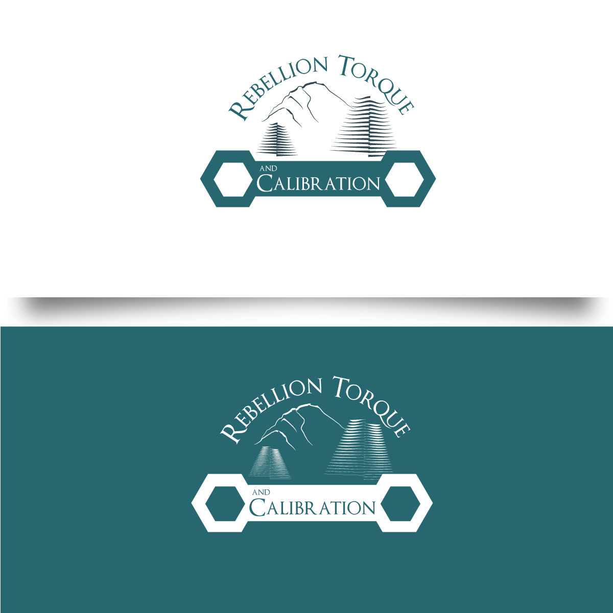 Logo-Design von titanium wings für dieses Projekt | Design #21372789