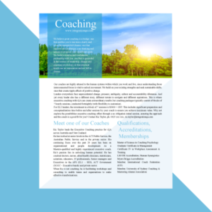 Flyer Design by Abhrara