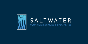 Logo Design by TTK