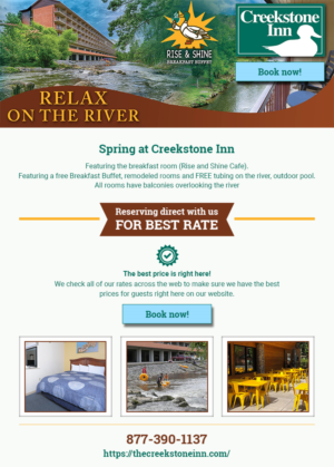 Email Marketing Design by vyasarajs for Smoky Mountain Resorts | Design: #21362405