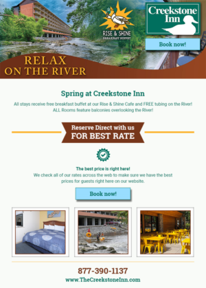 Email Marketing Design by vyasarajs for Smoky Mountain Resorts | Design: #21367097