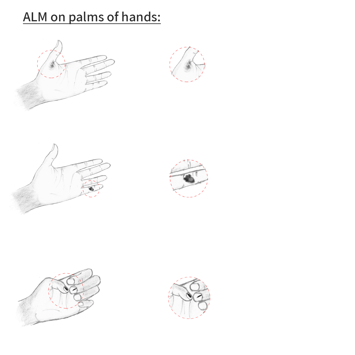 Illustration Design by King Cozy for University of utah | Design #21427203