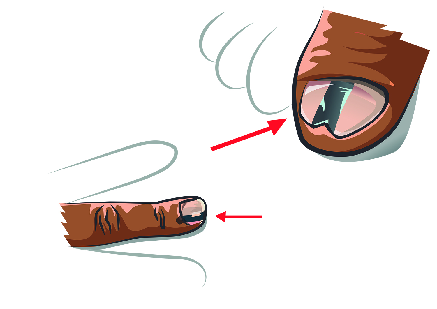 Illustration Design by nanocb72 for University of utah | Design #21477248