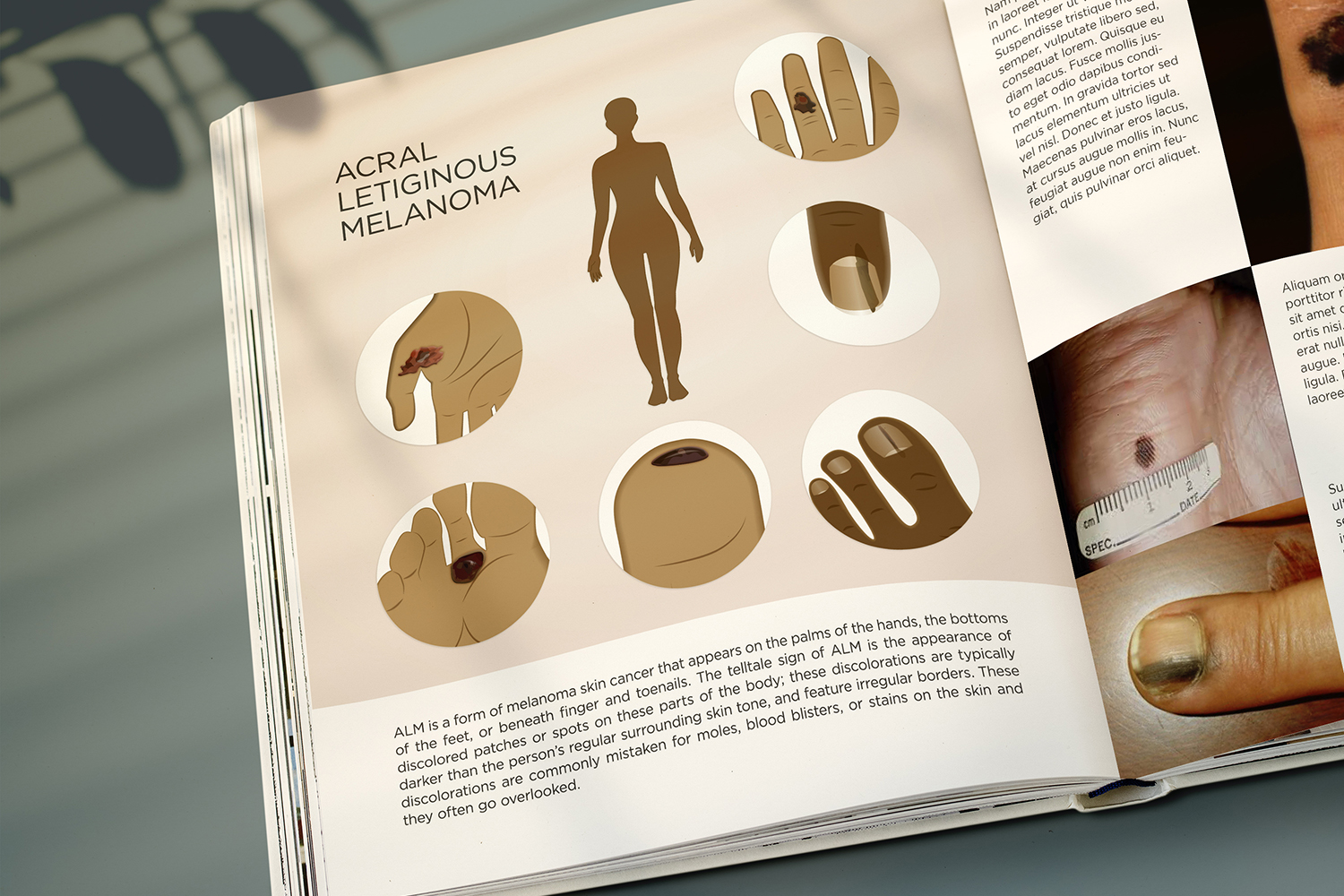 Illustration-Design von senja für University of utah | Design #21489879