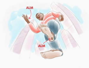 Illustration Design by artistraman for University of utah | Design: #21430140