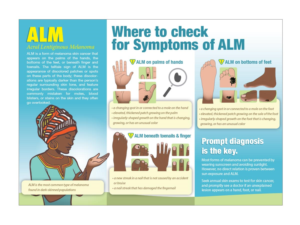 Illustration Design by ArtTank for University of utah | Design: #21472799