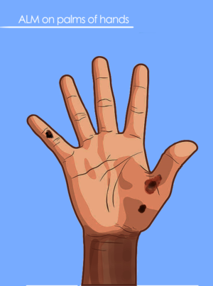 Illustration Design by smiledim24 for University of utah | Design: #21407820