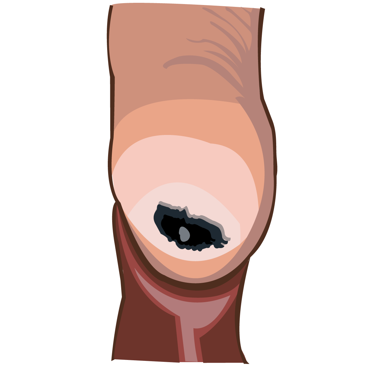 Illustration Design by vesna.radulovic1 for University of utah | Design #21424441