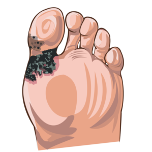 Illustration Design by vesna.radulovic1 for University of utah | Design: #21424443