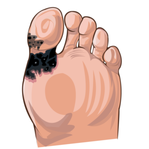 Illustration Design by vesna.radulovic1 for University of utah | Design: #21441801