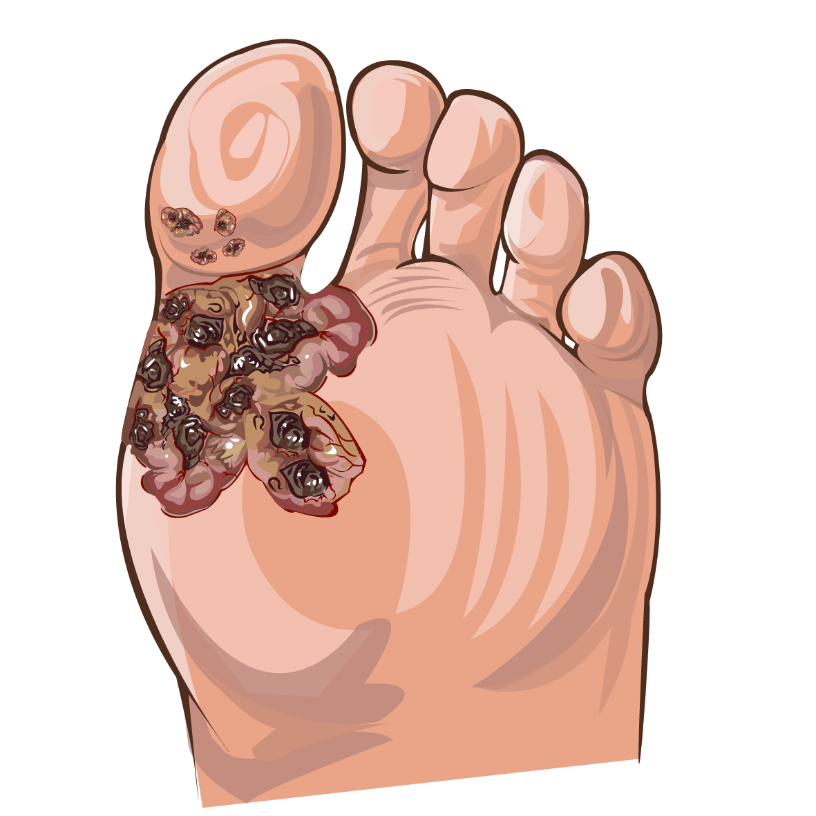 Illustration Design by vesna.radulovic1 for University of utah | Design #21479852