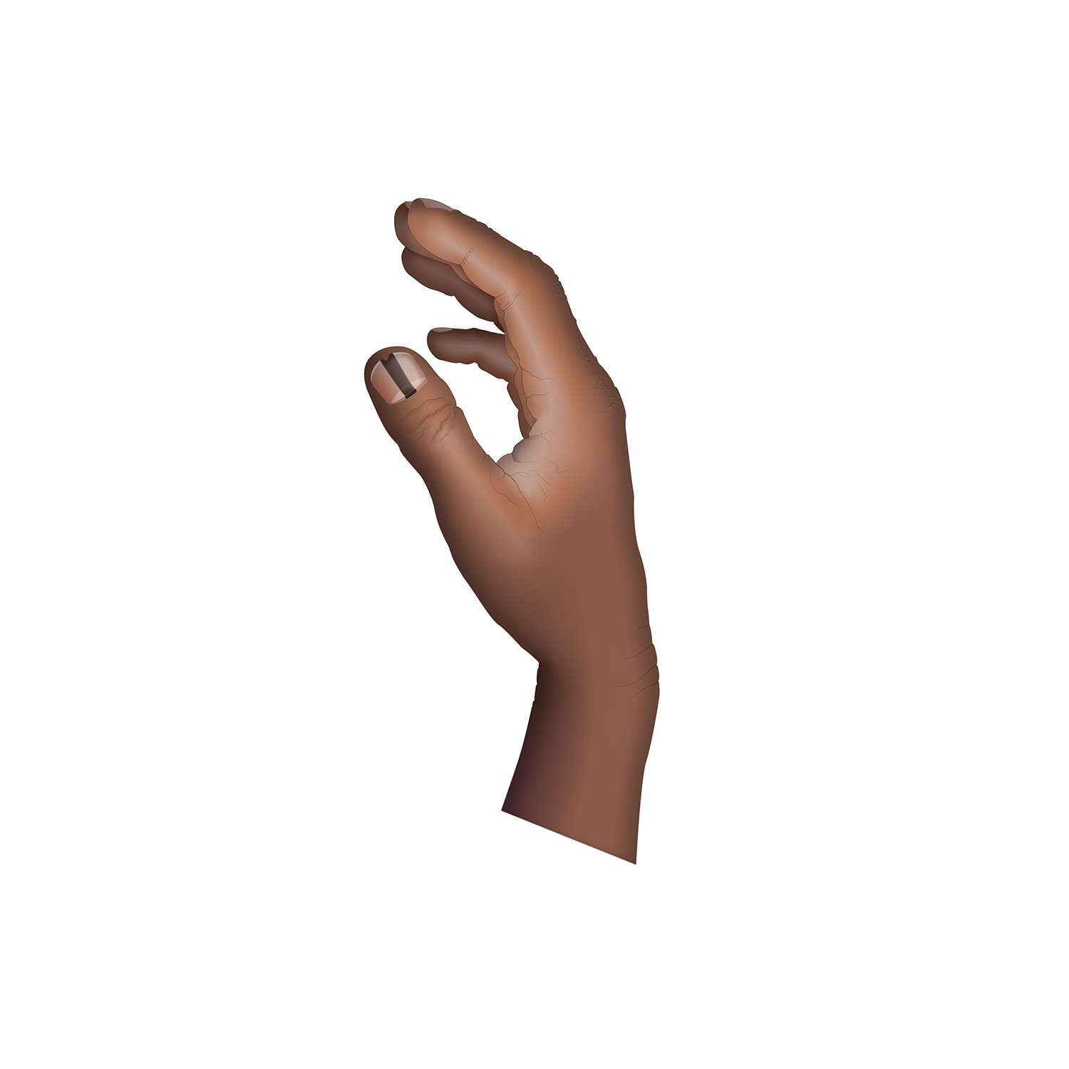 Design Illustration par sergiusbarbarossa pour University of utah | Design #21419913