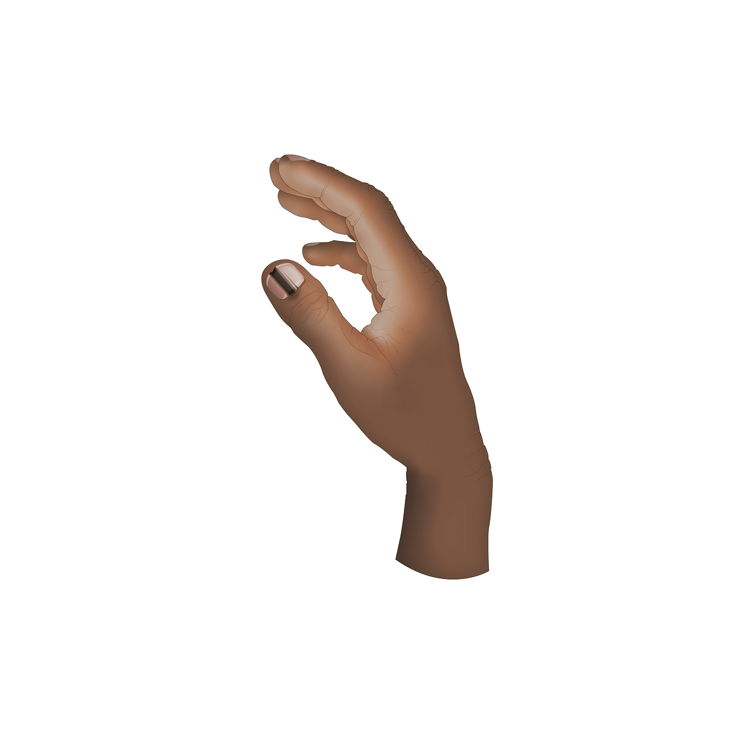 Illustration Design by sergiusbarbarossa for University of utah | Design #21436482