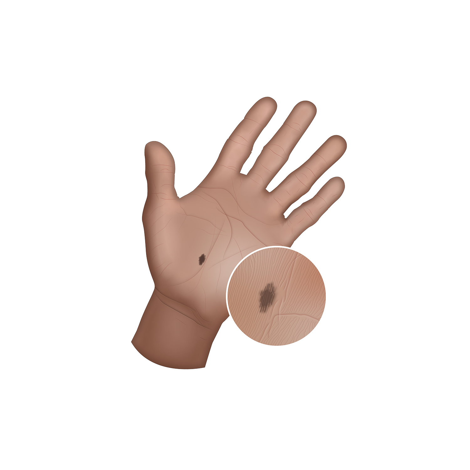 Diseño Con Ilustración por sergiusbarbarossa para University of utah | Diseño #21444316