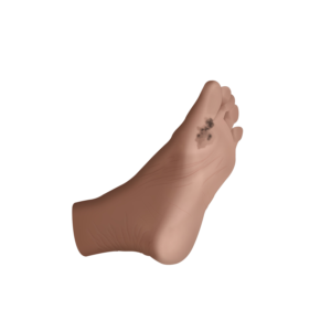 Illustration Design by sergiusbarbarossa for University of utah | Design: #21445684