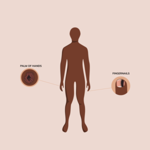 Illustration Design by Thanos Tok for University of utah | Design: #21433125