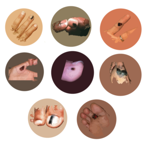 Illustration Design by ISCO for University of utah | Design: #21438601