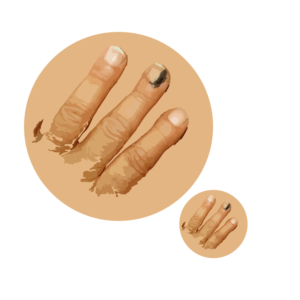 Illustration Design by ISCO for University of utah | Design: #21472482