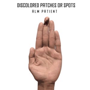 Illustration Design by MR.Designer 1 for University of utah | Design: #21452307