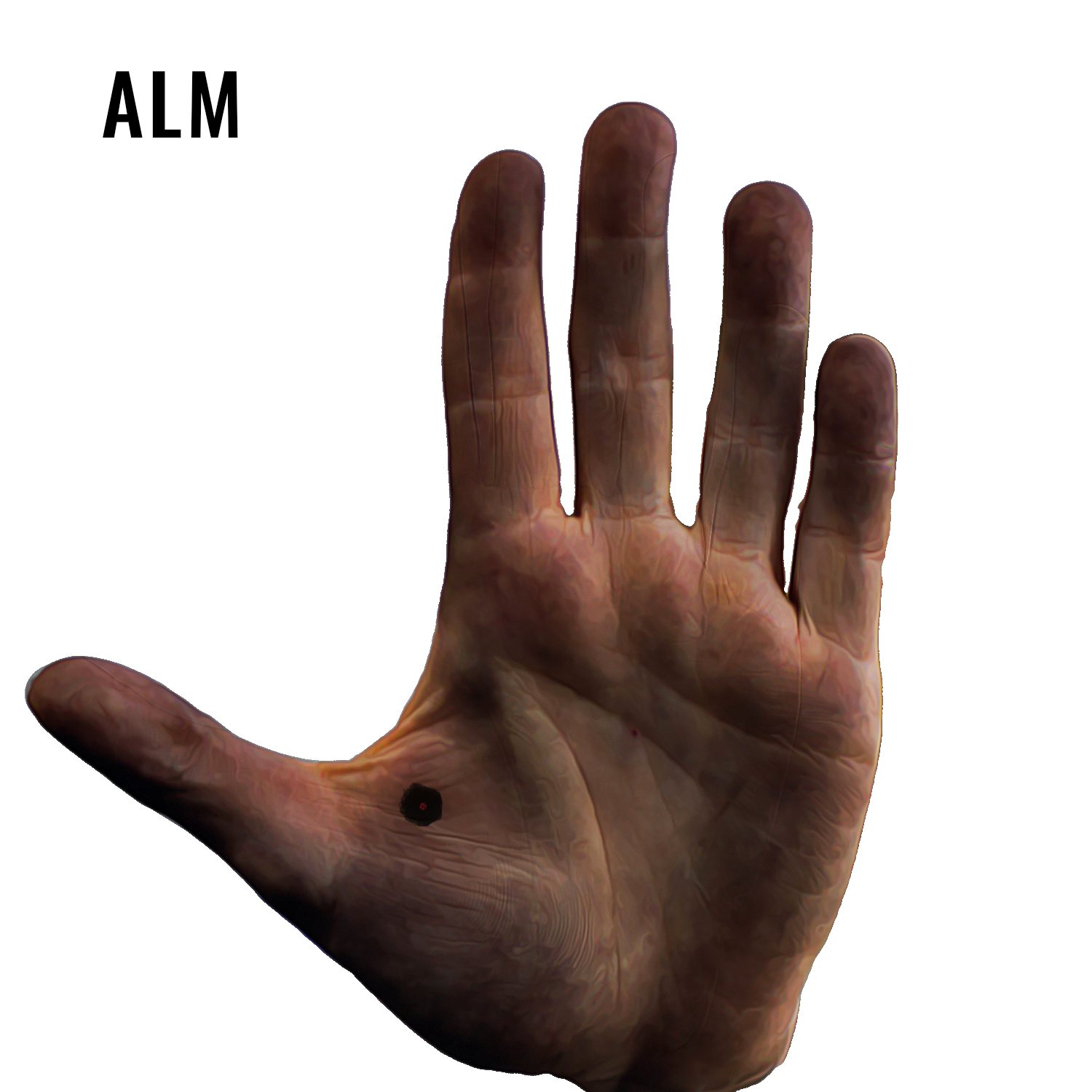 Illustration Design by MR.Designer 1 for University of utah | Design #21471632